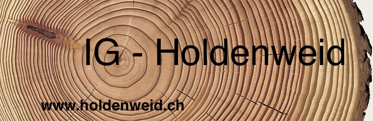  Interessengemeinschaft Holdenweid
